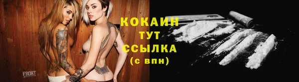 гидропоника Карталы