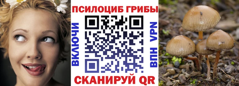 Галлюциногенные грибы Magic Shrooms  Кизел 